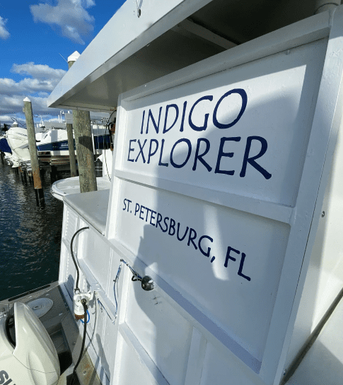 Indigo Dream Tours Indigo Dream Tours